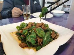 -温汤大酒店餐厅