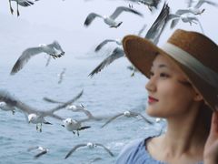 -海驴岛(荣成市)