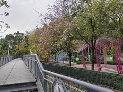 -佛山华盖山公园