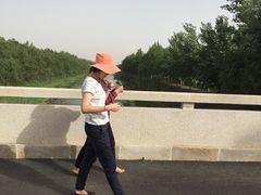 -东郊湿地公园
