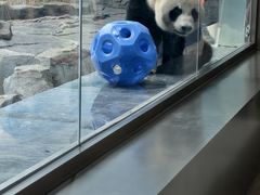 -秦皇岛野生动物园