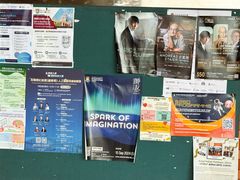 -香港大学