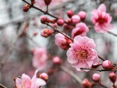 -洛阳市隋唐城遗址植物园