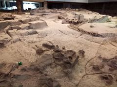 -自贡恐龙博物馆