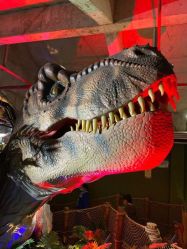 -恐龙探索乐园(磁器口店)