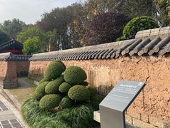 -重庆园博园
