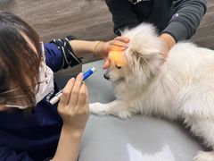 -爱侣宠医·鹦鹉专科·小型哺乳类·异宠专科(灵石路店)