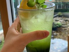 -雪绿茶博物馆