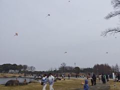 -滆湖低碳生态公园