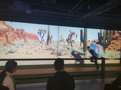 -VS SPORTS PARK运动玩乐园·团建·生日会(合生汇店)