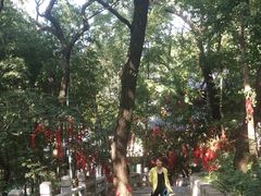 -灵岩山风景区