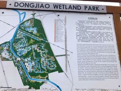 -东郊湿地公园