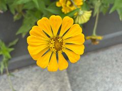 -长春公园(普阳街道)