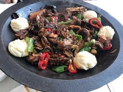 -食家鸽园