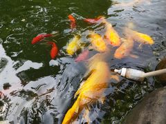 -成飞公园