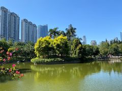 -广州珠江公园