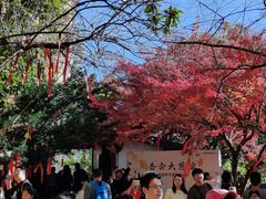-大慈岩风景区