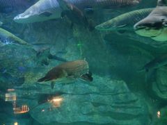 -泉城欧乐堡海洋极地世界