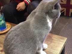 iphone_upload_pic-MIKAKU(万达广场上海宝山店)