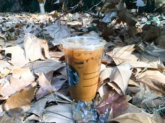 轻甜奶油冷萃-星巴克(南京同曦万尚城店)