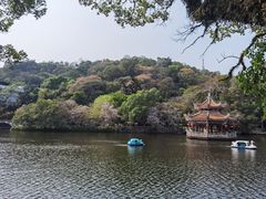 -潮镇老尾牛杂(环城西路店)