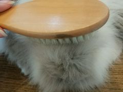 -藦茜花园宠物主题亲子互动体验馆(国顺东路店)