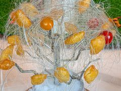 -郭靖·烤全羊·内蒙菜·烧烤(望京旗舰店)