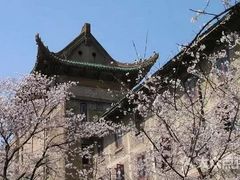 -武汉大学-樱园