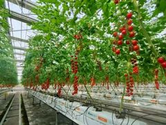 -长春农业博览园