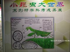 -上海昆虫博物馆