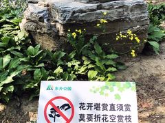 -东升八家郊野公园
