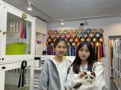 -青奢宠物·青奢猫舍