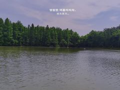 -上海海湾国家森林公园