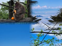 -峨眉山风景名胜区
