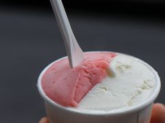 -Dip in Gelato(富民路店)
