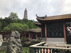 -顺峰山公园
