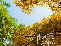 -西宁市人民公园(城西区)