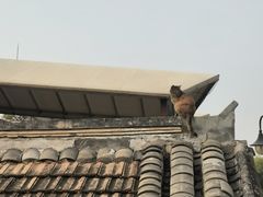 -素心小筑(后沙裕镇店)
