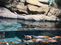 -南昌海洋公园