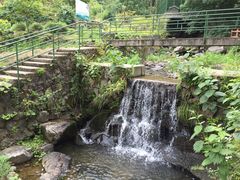 -藏龙百瀑风景区