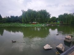 -云居湖