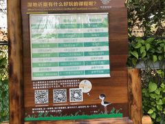 -华侨城湿地公园