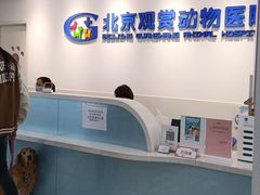 -北京观赏动物医院·24小时大型综合·猫专科·异宠专科