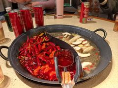 -朱光玉火锅馆(龙阳广场店)
