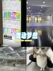 -wow舞蹈培训