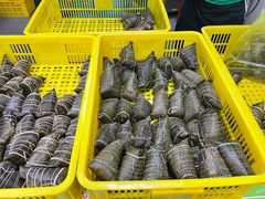 -召稼楼永茂昌粽子大王