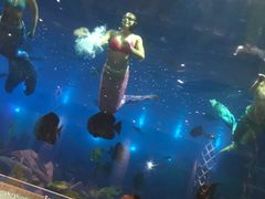 -瑞德姆美人鱼海底演艺主题餐厅(亚龙湾店)