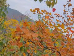 -香山公园