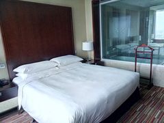 -上海龙之梦万丽酒店