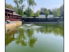 -尚庄度假村·庭台树下·户外烧烤·团建CS·轰趴营地(上庄水库店)